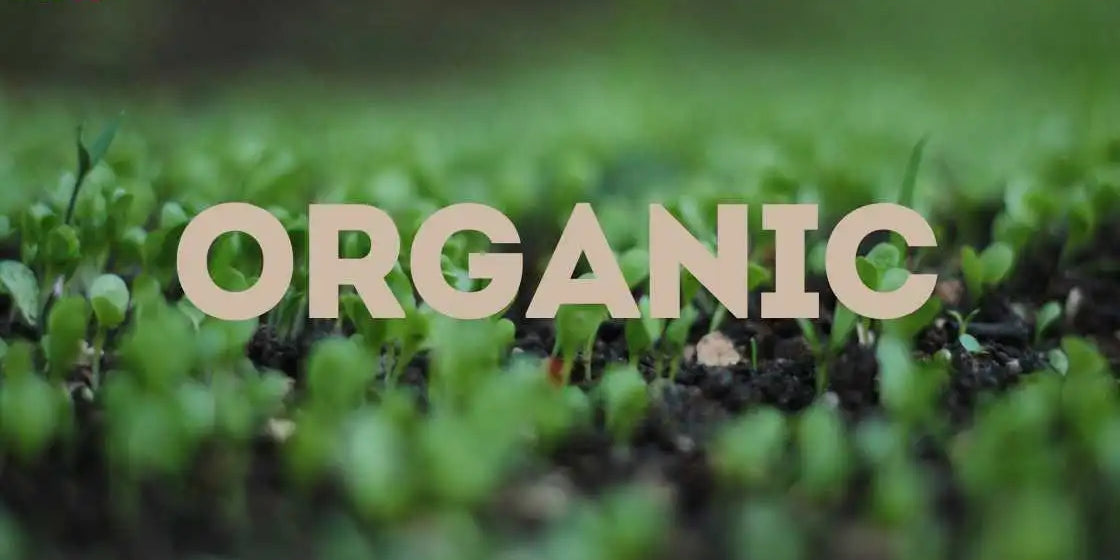 what is organic ?