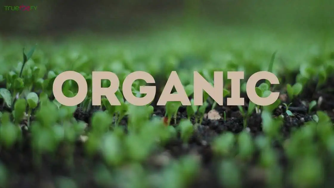 what is organic ?